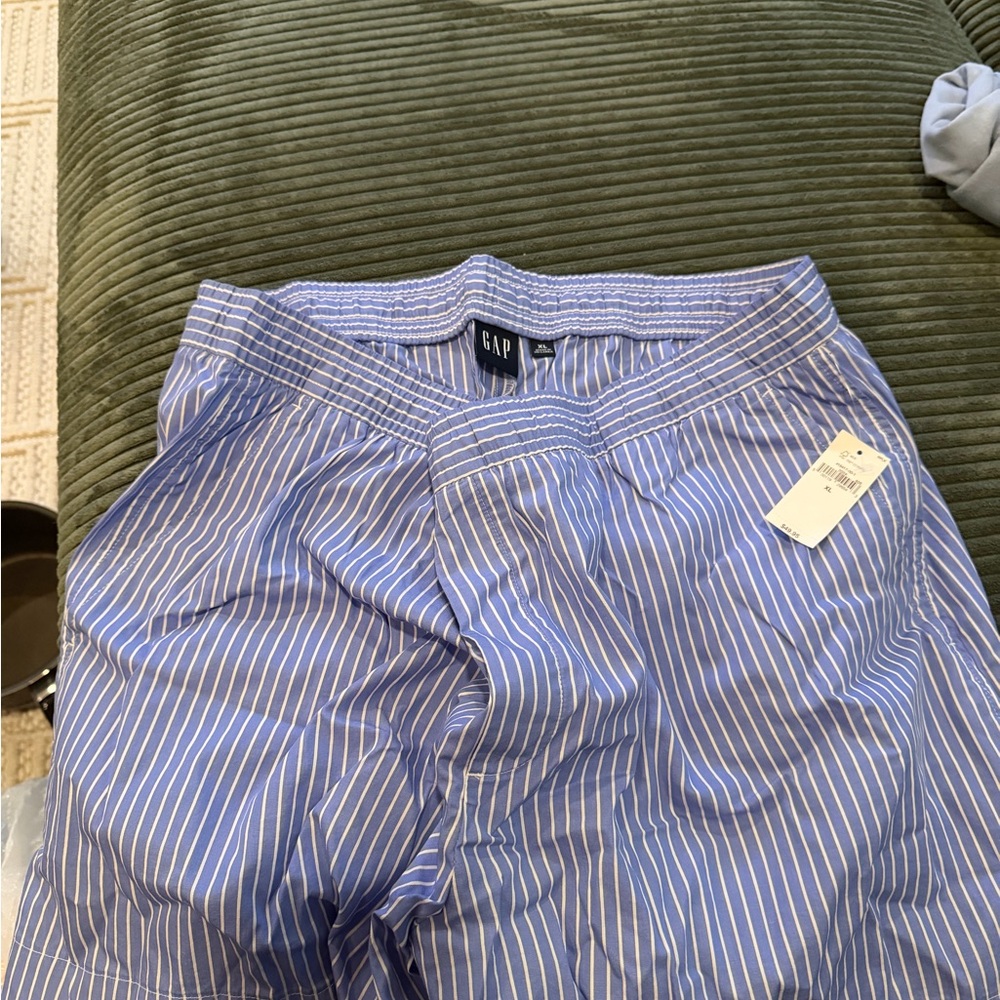 GAP Light Blue Pinstripe Trousers